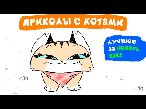 Приколы с котами. ЛУЧШЕЕ ЗА НОЯБРЬ 2022 | Мемозг