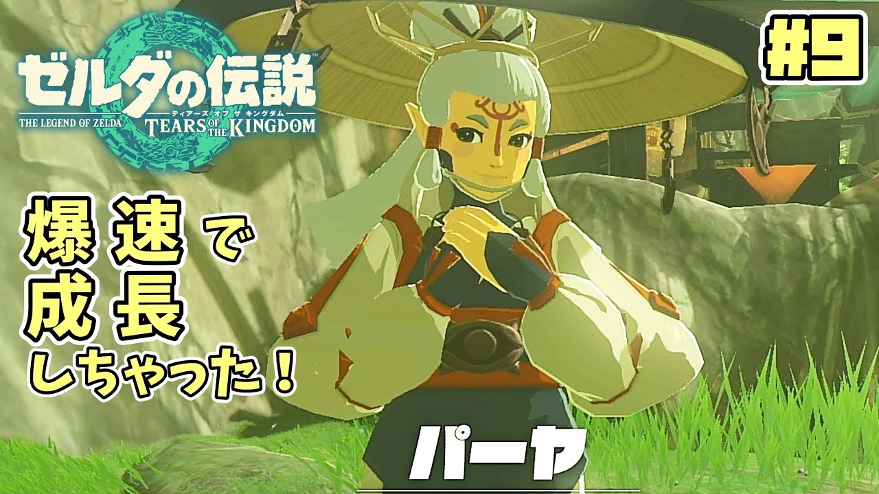 パーヤ 画像 – パーヤ タウロ , #Paya Drawings, Best Fan Art on pixiv, Japan – WCOP