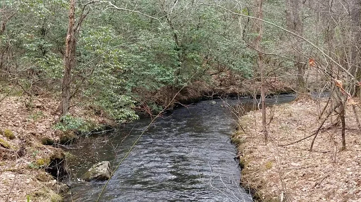 Relax by the Stream