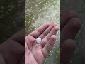 Tornado Warning with distant Sirens and hail