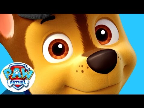 Щенячий Патруль На Русском - Все Серии Подряд - YouTube