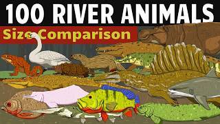 100 River Animals Size Comparison | Extinct and Extant