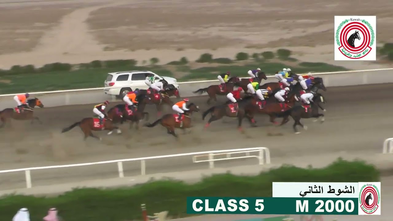 الجواد - الهضب - اسطبل الجزا