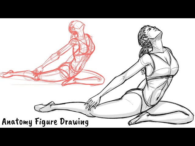 Human anatomy and poses | Art Amino