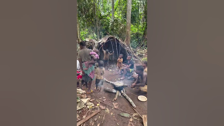 Documentando en África. Vivir en la selva con los Pigmeos Baka.