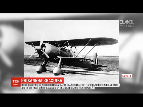 У Карпатах знайшли збитий італійський винищувач часів Другої Світової