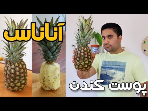 تصویری: نحوه انتخاب انبه رسیده