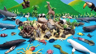 Diorama For Animals | Island With Ocean Animals | Tiger Flamingo Whales Crab