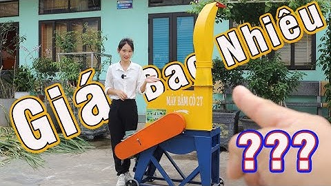 Chi Phí Để Đầu Tư 1 Chiếc Máy Băm Cỏ Công Nghiệp Có Cáo Không? Cùng Thu Ngân Bình Quân Tìm Hiểu Nhé