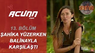 Şahika Yüzerken Balinayla Karşılaştı |  13 | Survivor 2017 Resimi