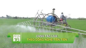 Canh tác lúa theo công nghệ tiên tiến | VTC16