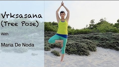 Tree Pose Variations - Vriksasana - Yoga Basics