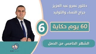 الشهر الخامس في الحمل  دكتور عمرو عبد العزيز