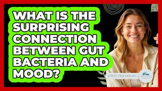 What Is The Surprising Connection Between Gut Bacteria And Mood? - Stress Free Mindset