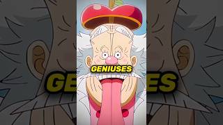 Top 5 Smartest One Piece Characters Besides Vegapunk
