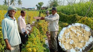 वाळव्याच्या पावसात पडलेला कारल्याचा ताटवा उभा केला आईनी चुलीवर मसाले दहीला तडक दिला , डाळ भात केला