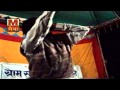 Haryanvi Rangi - Ger Ke Moh Main Faske Tu Jindagi Khowe | Maina Hit Ragni Vol 38 Mp3 Song