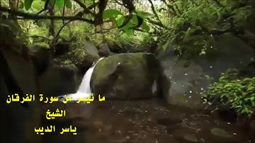 ما تيسر من سورة الفرقان - الشيخ ياسر سرحان الديب