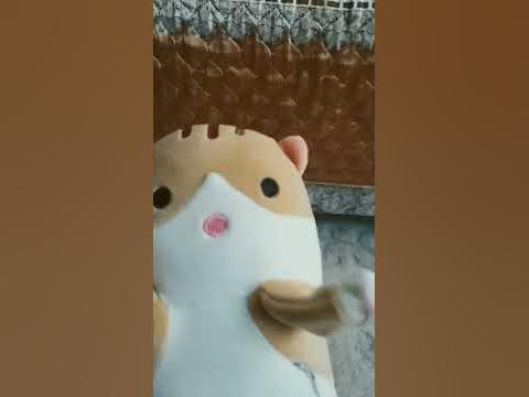 привет пупси - YouTube