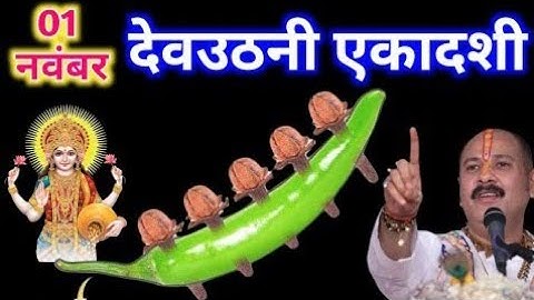 🔥 1 नवंबर देवउठनी एकादशी पर करें ये 5 लौंग-मिर्च का चमत्कारी उपाय | Pradeep Ji Mishra Upay