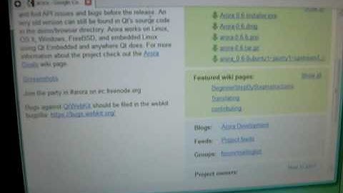 Annoning QtWebKit Bug