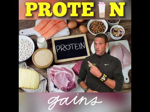 Protein