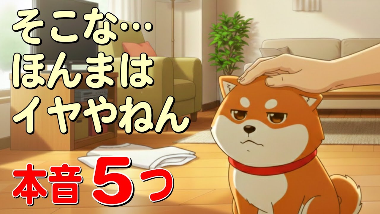 悪気はないけど…犬が本当は嫌がっている触られ方・場所5選｜柴犬ダッシュ