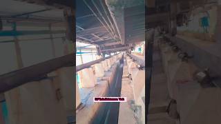 Train maintenance work #railway #viral #reels #reel #trending #trend #tecnician #railwaymaintenance