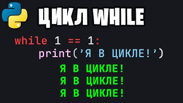 🐍 Узнай за 8 минут | ЦИКЛ while | Python🐍