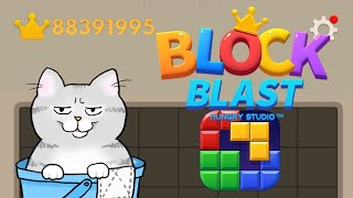 夜中にブロック遊びをする猫の配信！ #ブロックブラスト #BlockBlast #HungryStudio #Shorts
