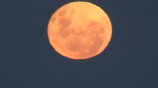 LUNA EN EL MANGRULLO, PROVINCIA DEL NEUQUEN... (FILMADA A 100X A PULSO, POR ESO SE MUEVE... JEJE)