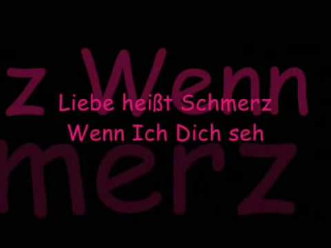 Eisblume  Liebe heit Schmerz LYRICS Video   IchigoSerenity