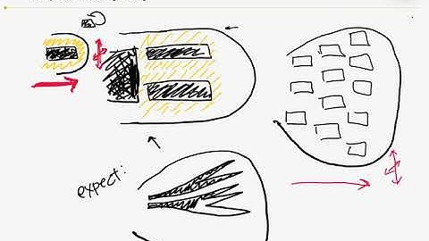 Tetrapod limb development: early theory