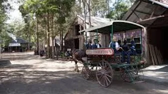 Timber Town