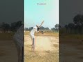 cricket batting Tennis cricket || "Helicopter chalega abb 🥎🏏🏏" #cricket #shorts