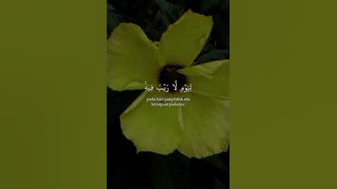 القارئ ياسر الدوسري#سورة آل عمران رقم الآية ٨-١٠#ربنا لاتزغ قلوبنا بعد إذ هديتنا وهبلنا من لدنك رحمة