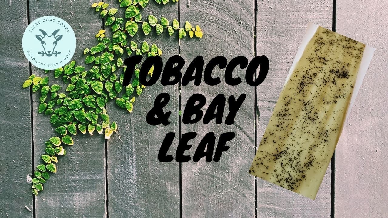 Making Tobacco & Bayleaf Cold Process Goat Milk Soap