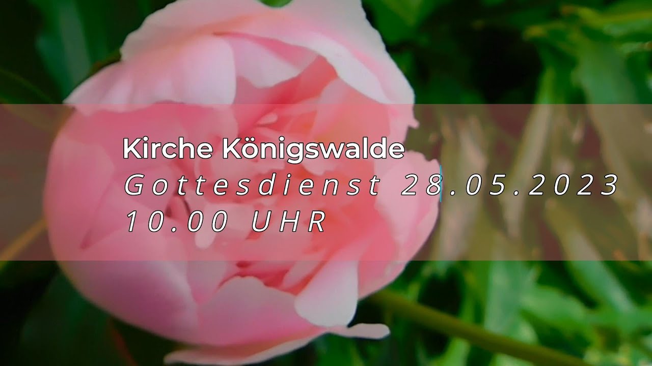 Kirche Königswalde, Gottesdienst am 29.05.2023, 10.00 Uhr - YouTube