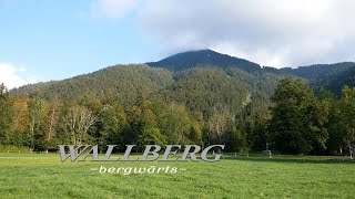 Bergwärts - Wallberg