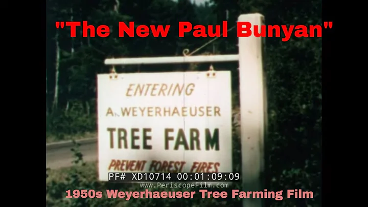 " THE NEW PAUL BUNYAN " 1952 WEYERHAEUSER FOREST PRODUCTS  TREE FARMING & LOGGING FILM    XD10714 - DayDayNews
