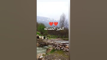 سورة النحل خالد الجليل ماشاء الله ❤️❤️❤️