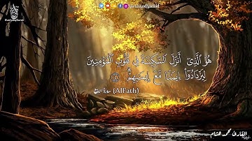 سورة الفتح.  | بصوت القارئ محمد هشام... | تلاوة هادئه و راحه نفسيه و سمعيه،♥️