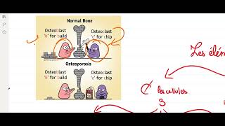 BA  LE TISSU OSSEUX = النسيج العضمي.             (Le ostéoblastes ,Les ostéocytes,Les ostéoclastes )