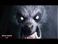 horror wolf sound (horror sound) 2020