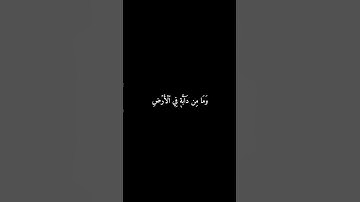 سورة الأنعام | وَمَا مِن دَابَّةٍ فِي الْأَرْضِ #المنشاوي #قرآن #سورة_الأنعام #شاشه_سوداء