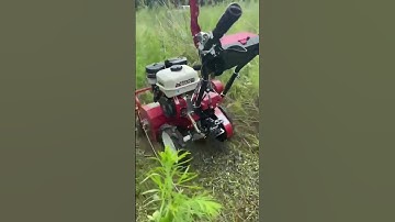 Máy cắt cỏ trục băm | 0966727261