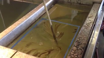 Gun Hydrograph in Camo