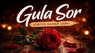 Gula Sor Kürtçe Damar Şarkı