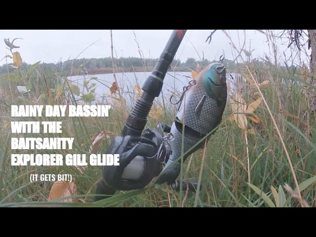 Rainy Day Swimbaiting With The Baitsanity Explorer Gill Glide