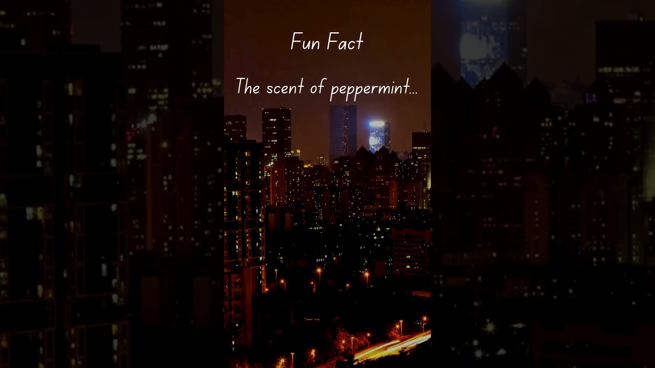 The Power of Peppermint: Boost Your Brain with Aroma